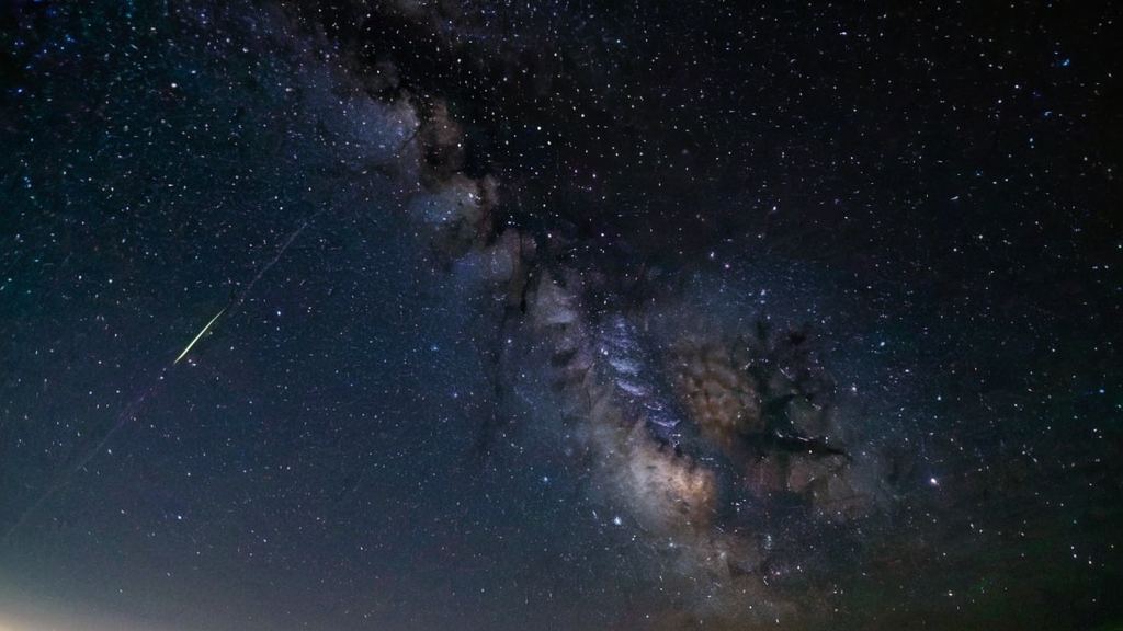 怎么回复吃瓜的表情揭秘明星做饭引发的吃瓜热潮